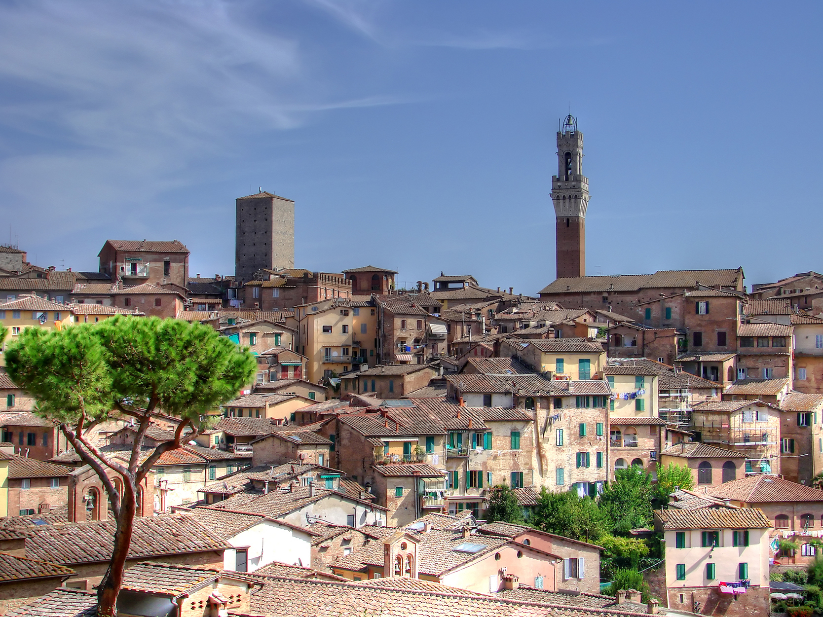 Palio - Gallery Image #243